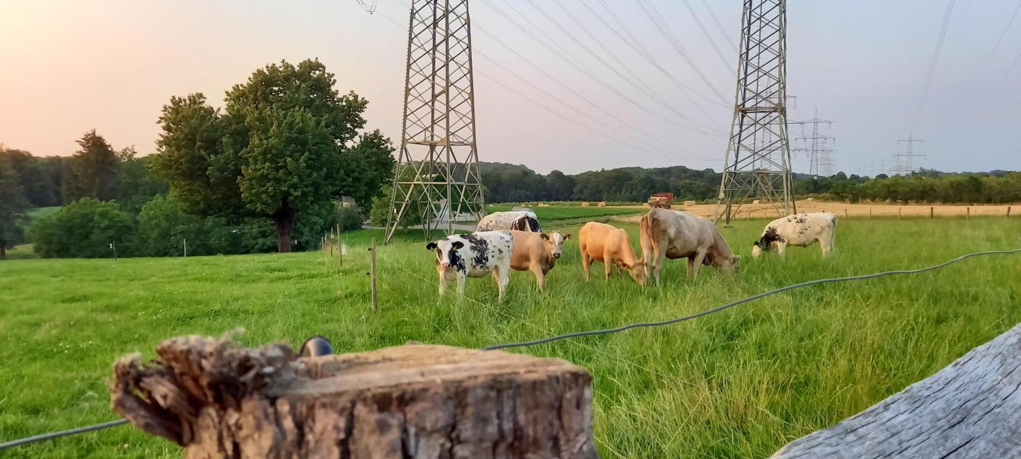 Bauernhof Sesterhenn Leichlingen Kültér fotó